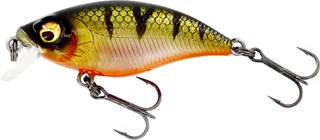 Westin BuzzBite SR Crankbait 4cm 4g 0–1m Bling Perch