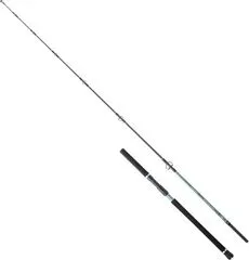 Hearty Rise Monster Game Tuna Hunter S Spinnrute 2.40m 60–160g 364g 178cm