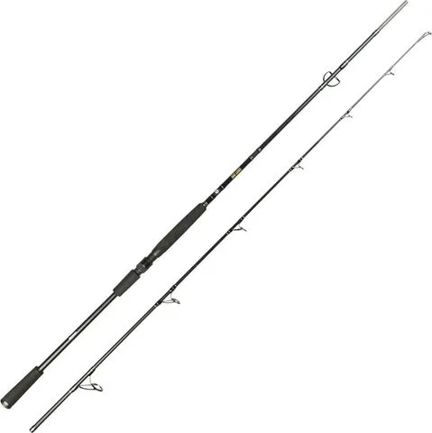 Spro Big Lure Spin Spinnrute 2.40m 50–140g 220g 125cm