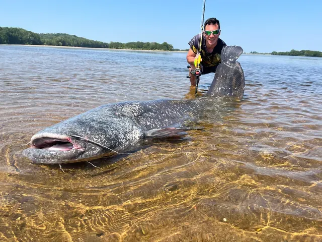 Black Cat Perfect Passion Allstar Cast Casting Rod 2.2m 30–130g Semi-Parabolic