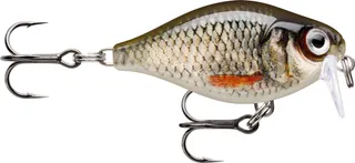 Rapala X-Light Crank Shallow Runner FNCS03 3.5cm 4g Live Roach