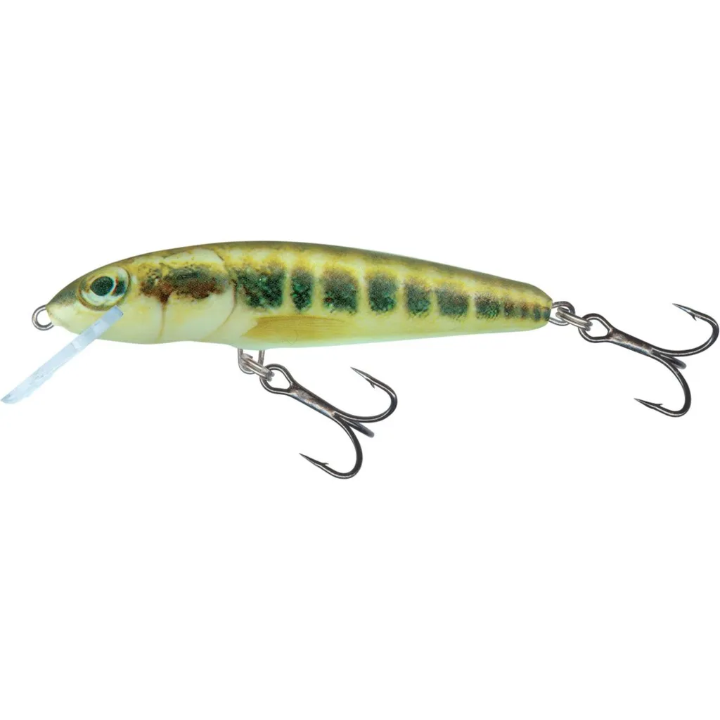 Salmo Minnow Twitchbait 5cm 3g Minnow