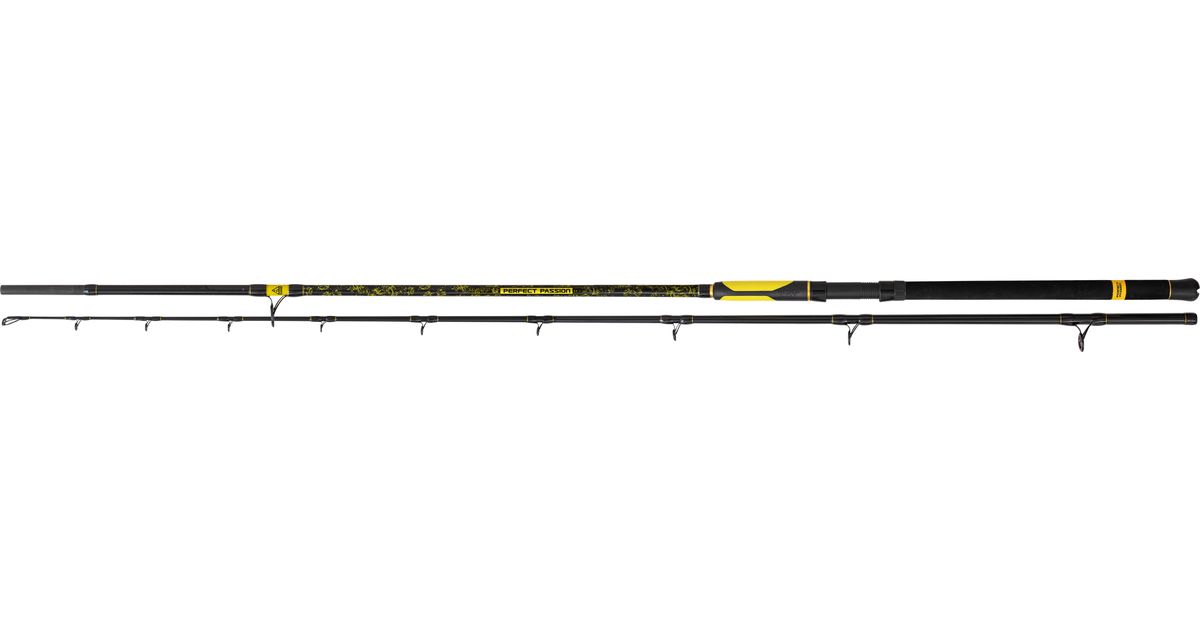Black Cat Perfect Passion Catfish Rod XH-S 3m 350g 2pc