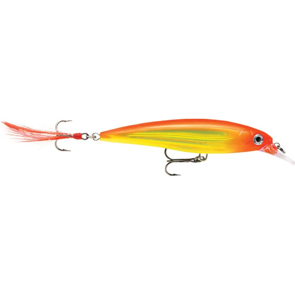 Rapala X-Rap Wobbler XR10 10cm 13g HH