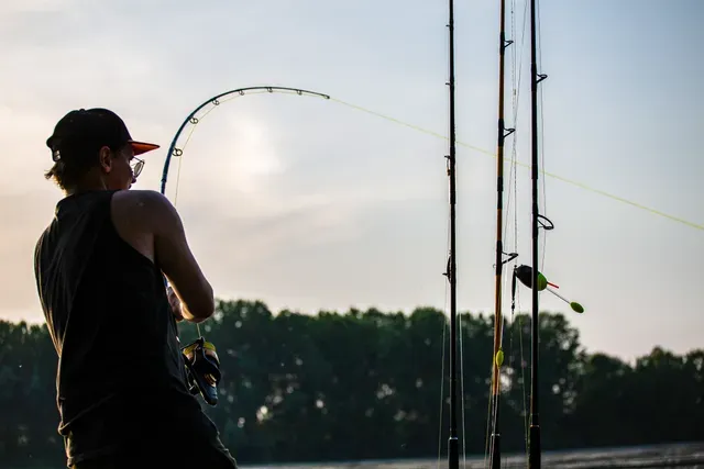 Black Cat Zeus Line G2 0.38mm 37kg 400m yellow