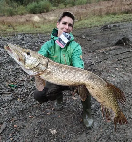 Savage Gear 4D LT RATTLE TROUT - 27.5cm, 258g, Perch, Moderate Sink