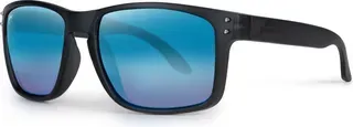 Fox Rage Transparent Black Polarisationsbrille Brown TR90 and Stainless Steel