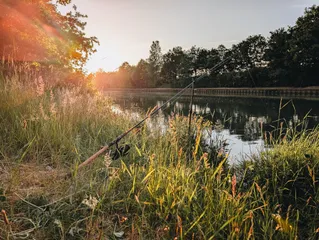 Ansitz auf Aal & Zander