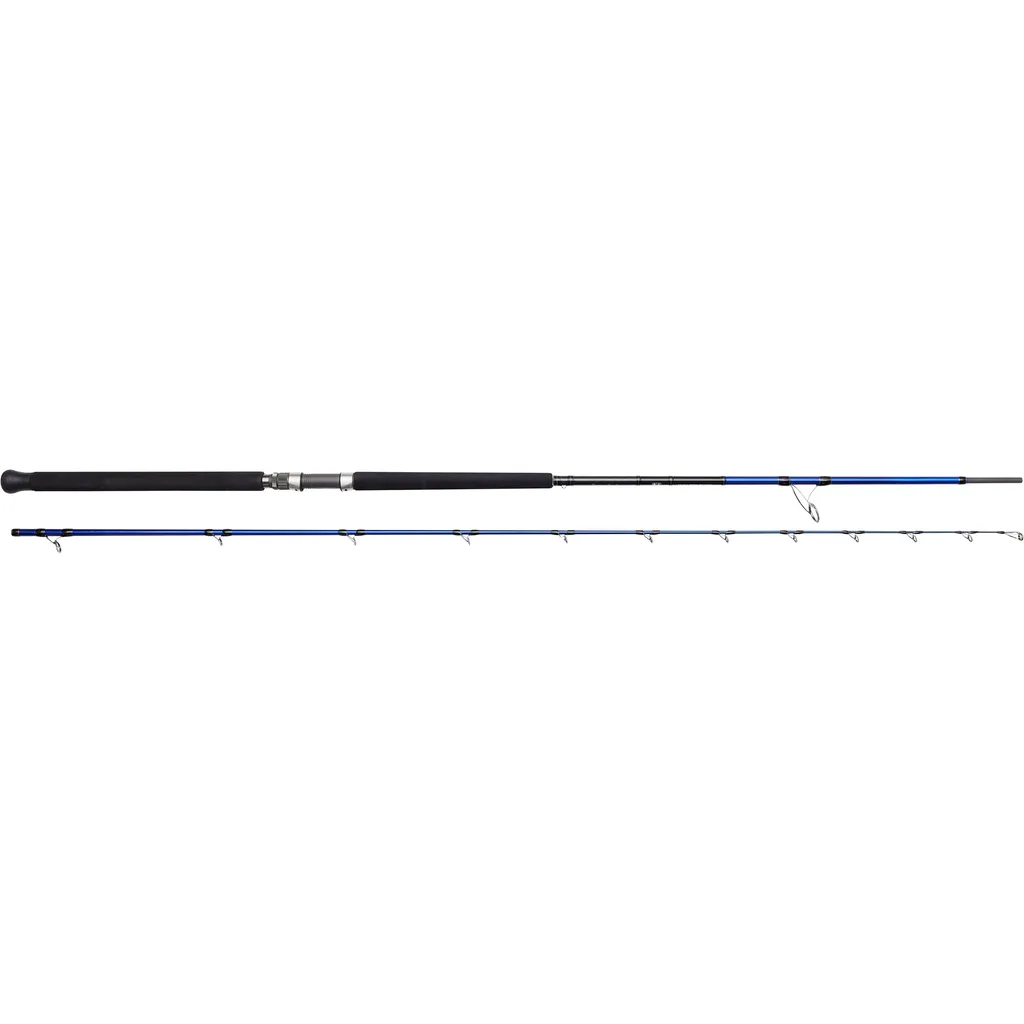 Savage Gear SGS6 Shore Jigging Meeresrute 3.05m 60–150g 2pc H