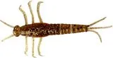 Savage Gear LB 3D PVC Mayfly Nymph 5cm 1g Brown Glitter