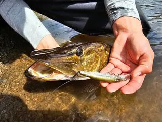 Savage Gear Gravity Twitch MR Crankbaits 9,5cm 0,7–1,5m 15g Firetiger