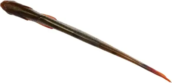 Savage Gear Craft Dying Minnow 7.5cm 2g Blue Pearl