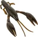 FTM Krawallo Craw Softbait 6pc 10cm Green Pumpkin Chartreuse