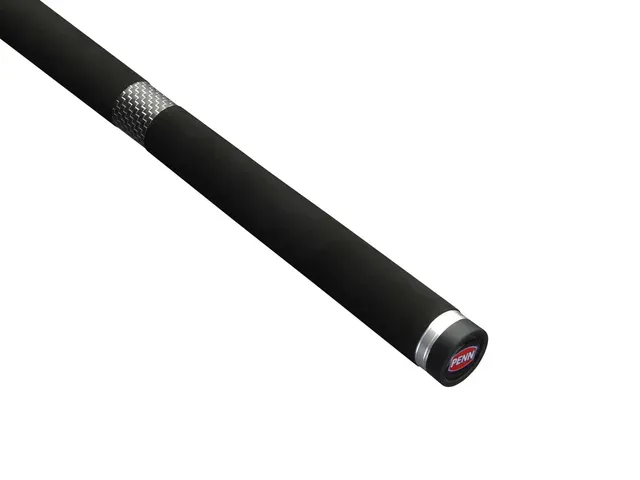 Penn Squadron IV Spin Spinning Rod SW 3m 20–60g Fast