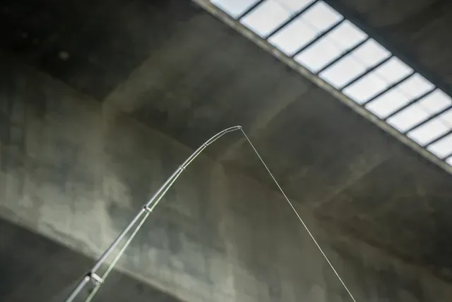 Fox Rage Warrior Light Spin Spinning Rod 2.1m 5–15g