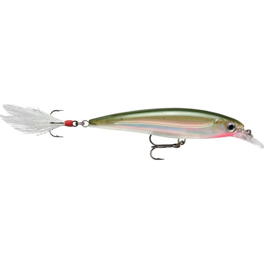 Rapala X-Rap Wobbler XR10 10cm 13g OG