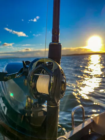 Black Cat Cast Baitcasting Reel 301 5.2:1 320g 12kg 66cm LH