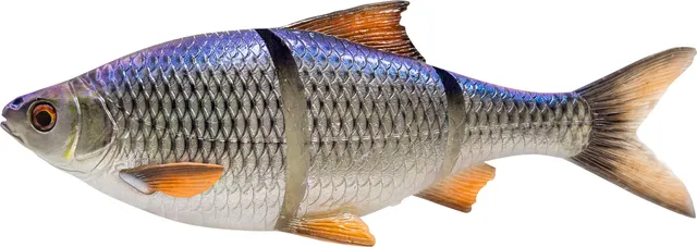 Savage Gear 3D Linethru Roach 32cm 445g Sinking Blue Roach
