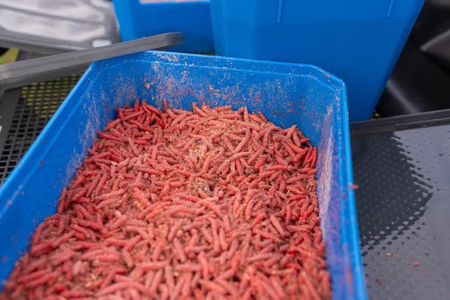 Preston Köderdose 6pt