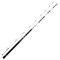 Spro Salty Beast Nano Mega Jig BC Sea Fishing Rod 2.4m 450g 2pc