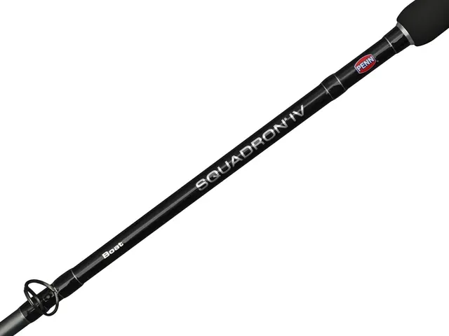 Penn Squadron IV Boat Cast Baitcaster-Rute 2.1m 320g Fast
