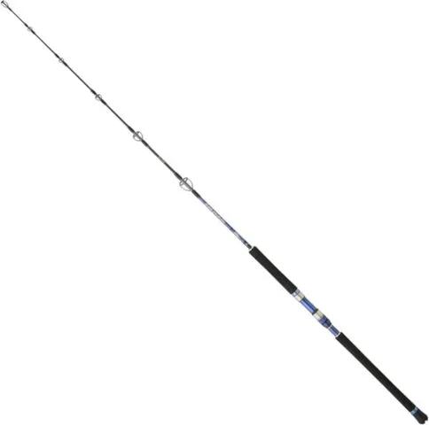 Hearty Rise Monster Game Jigging Sea Fishing Rod 1.62m 70-150g 1pc