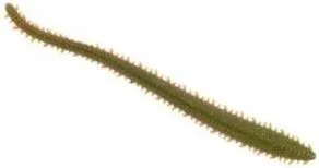 Berkley Gulp Saltwater Sandworm 14pc 15cm Camo