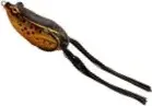 Savage Gear Hop Walker Frog 5.5cm 15g Tan