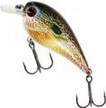 Westin BassBite 1.5 Squarebill Crankbait 1–2m