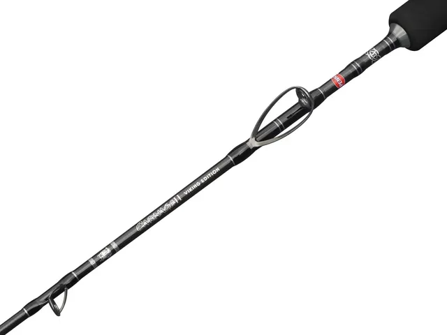 Penn Carnage Viking Edition Solid Boat Rod Spinning Rod 581 1.72m 150–500g Fast