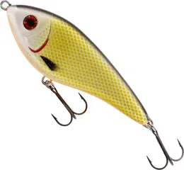 Westin Swim Glidebait Jerkbait 15cm 115g Official Roach