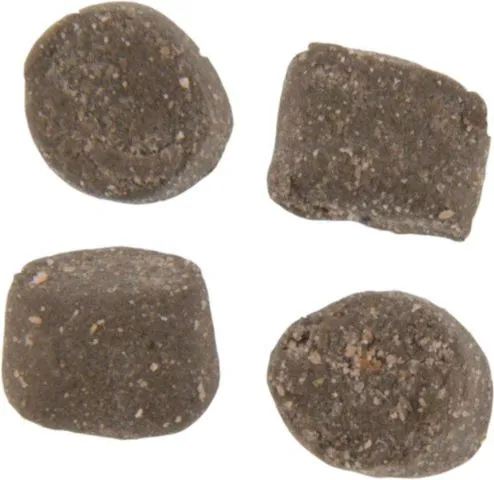Berkley PowerBait Trout Nuggets Boilies & Carp baits Cheese 57g