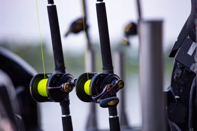 Black Cat Zeus Line G2 0.38mm 37kg 400m yellow