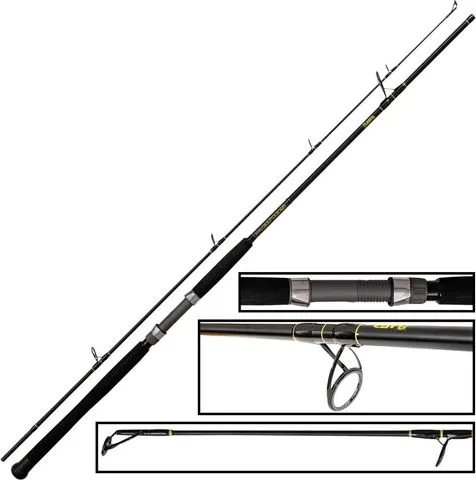 Black Cat Solid Spin Spinnrute 40–160g 2.4m
