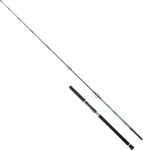 Hearty Rise Monster Game Tuna Hunter Spinning Rod S 2.40m 40–130g 351g 178cm