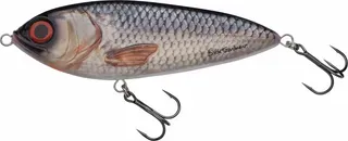 Svartzonker McTracer Crankbaits 16.5cm 0.5–1.5m 150g Real Roach