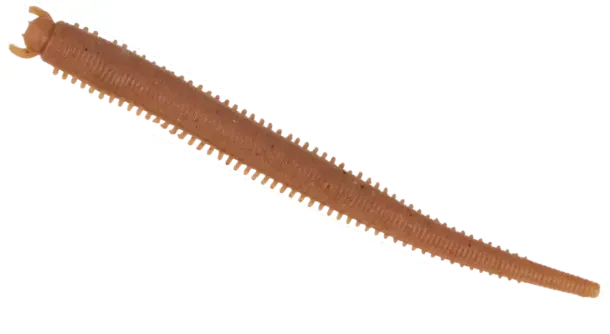 Berkley Gulp! Saltwater Fat Sandworm 10cm Natural