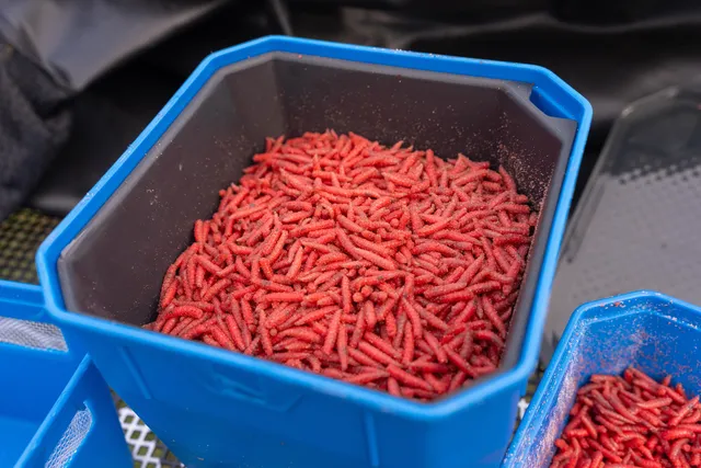 Preston 4Pt Köderdose XLarge