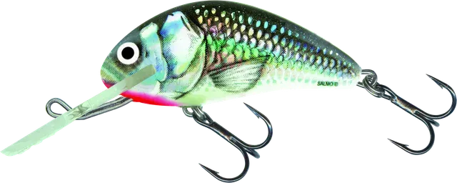 Salmo Hornet Sinking 2.5cm Holographic Grey Shiner
