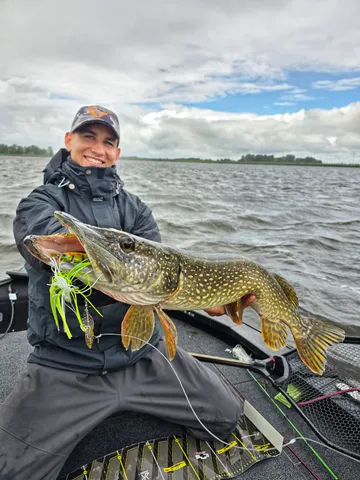 Savage Gear Da Bush Spinner Baits 14cm 21g Sexy Shad