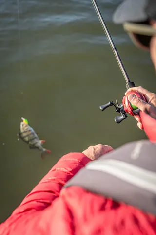 Lews KVD Elite Baitcasting Reel 6.2:1