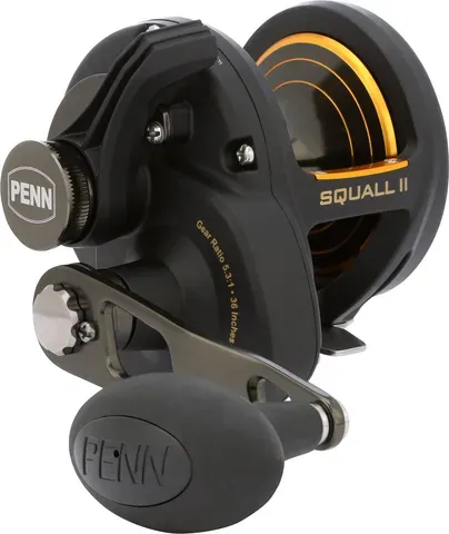 Penn Squall II 25 13.6kg 535g 5.3:1