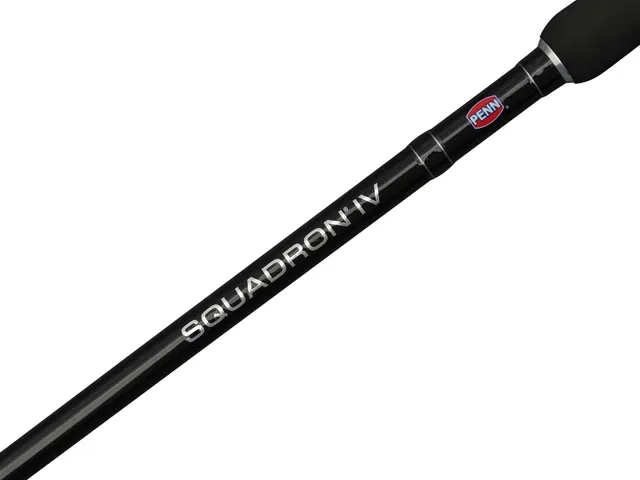 Penn Squadron IV Halibut Cast Baitcaster-Rute 2.4m 373g Fast