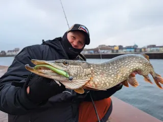 Leichtes Angeln auf Hecht