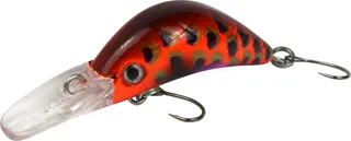 FTM Masu Security Wobbler 3cm 1.6g Braun-Orange-Lila Dunkel Gepunktet UV