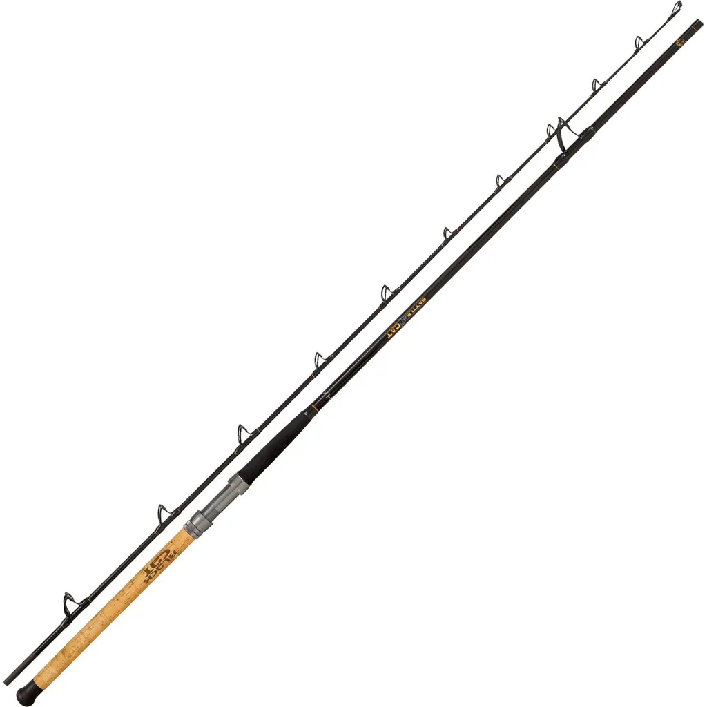 Black Cat Battle Cat Wallerrute M 2,85m 200g 2pc