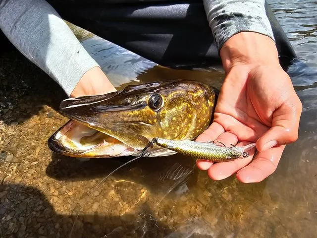 Savage Gear Gravity Twitch MR Crankbaits 9,5cm 0,7–1,5m 15g Firetiger