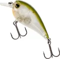 Westin BassBite 2.5 Squarebill Crankbait 7cm 1–2m 16g Tight Aggressive Action
