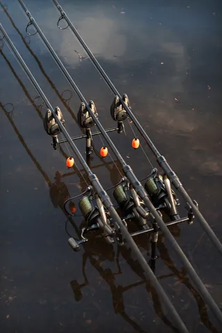 Fox EOS X Karpfenrute 3.66m 3lb 2-teilig