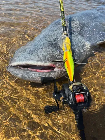 Black Cat Perfect Passion Allstar Cast Casting Rod 2.2m 30–130g Semi-Parabolic